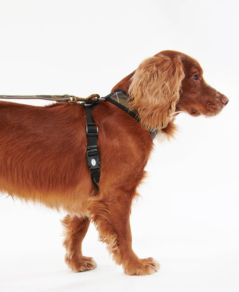 Barbour Tartan Dog Harness - Classic Tartan-2
