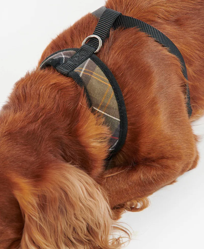 Barbour Tartan Dog Harness - Classic Tartan-3