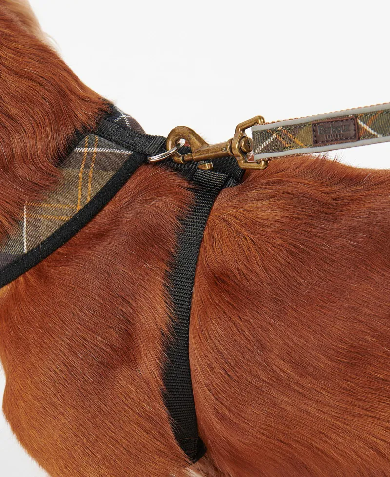 Barbour Tartan Dog Harness - Classic Tartan-4