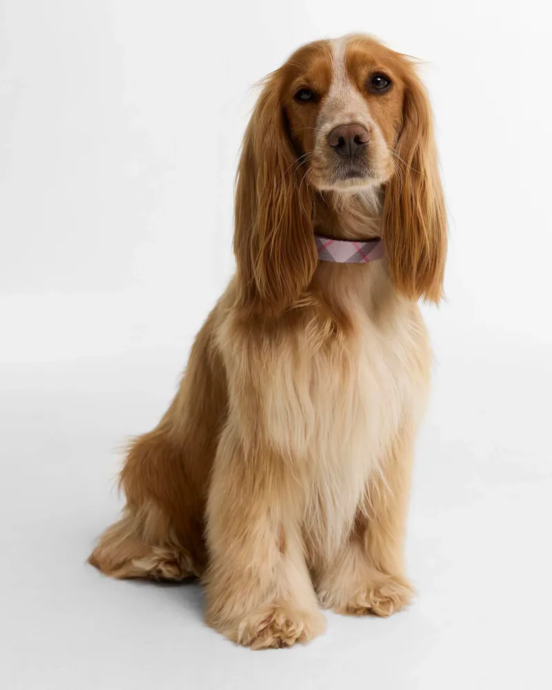 Barbour Tartan Printed Dog Collar - Pink Tartan